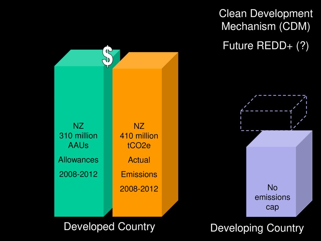 Clean Development Mechanism (CDM)