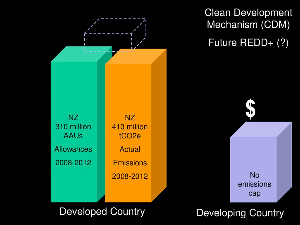 Clean Development Mechanism (CDM)