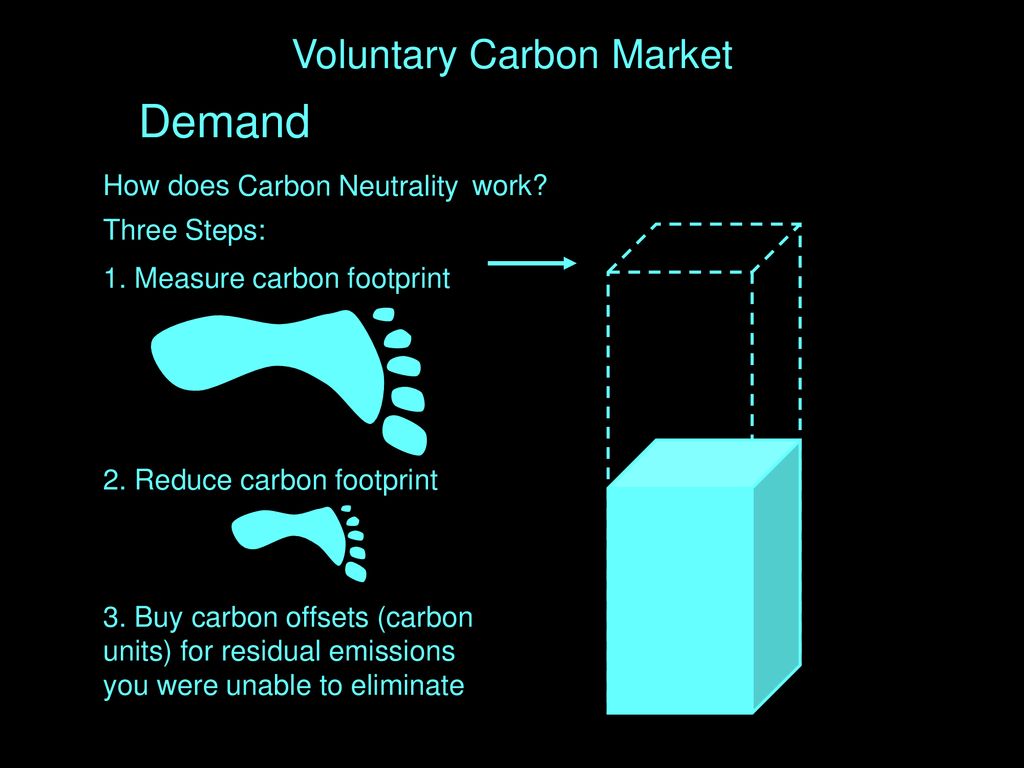 Voluntary Carbon Market
