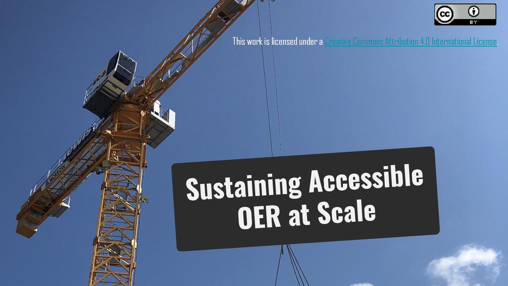 Sustaining Accessible OER at Scale