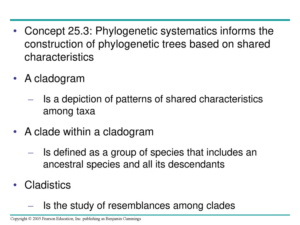 A clade within a cladogram