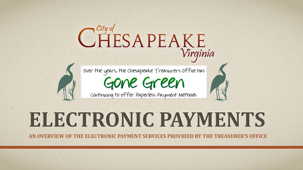 Electronic Payments An overview of the electronic payment services