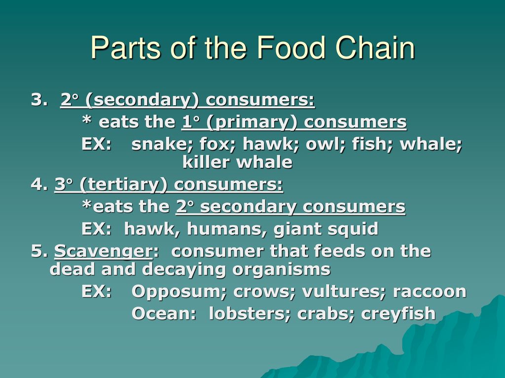 Ecosystems A. ECOSYSTEMS AND HABITATS - ppt download