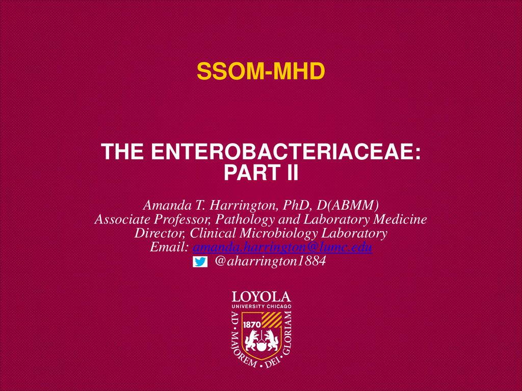 The Enterobacteriaceae Part Ii Ppt Download