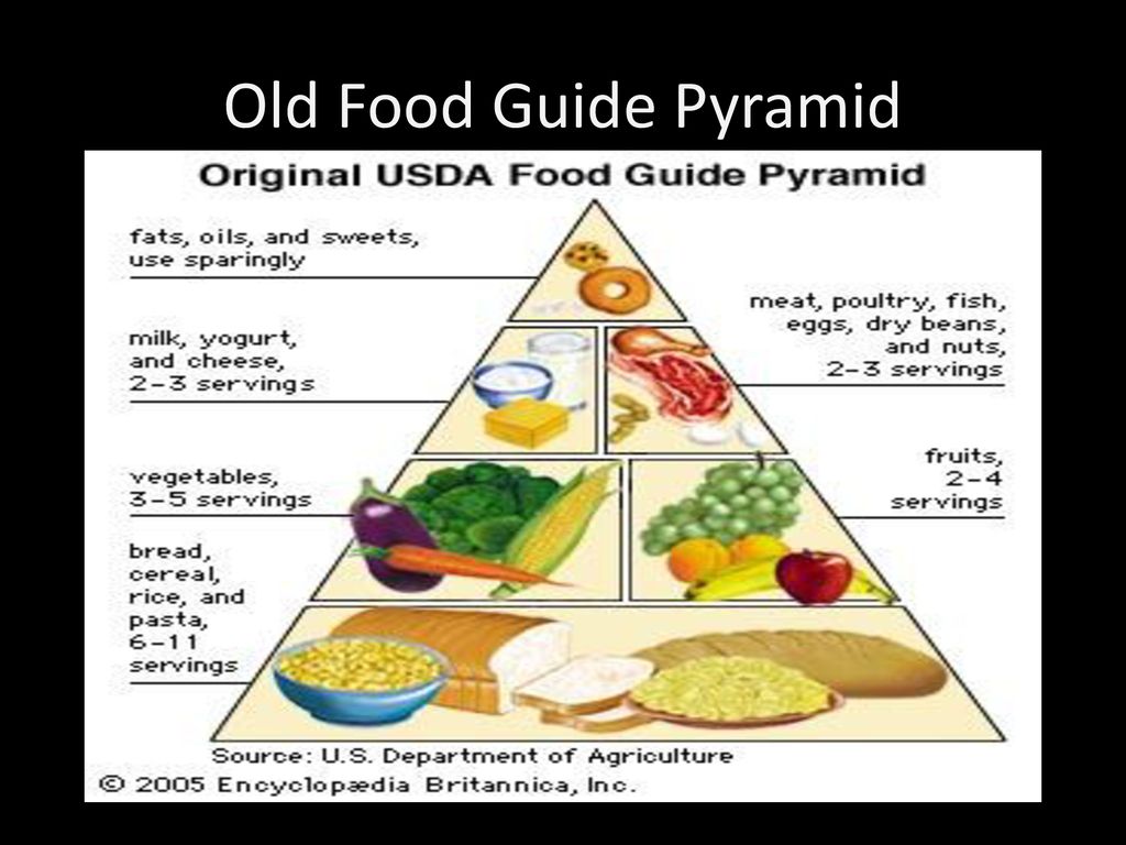 Nutrition Food Guide Pyramid Ppt Download nutrition-food-guide-pyramid-ppt-download