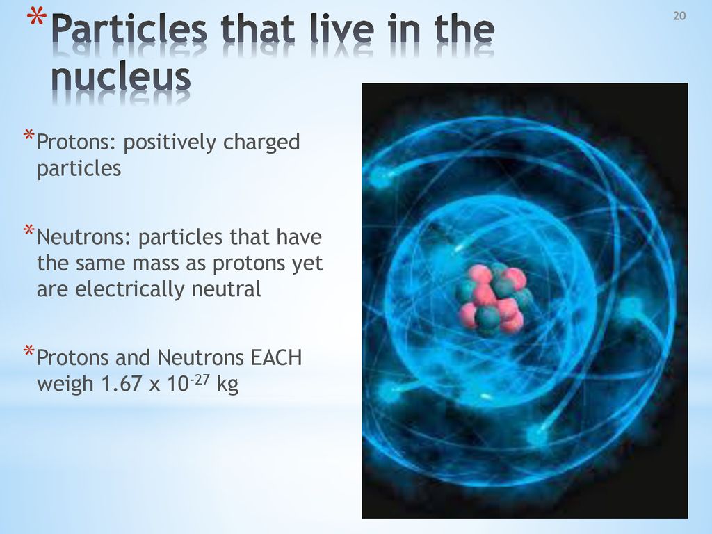 Particles that live in the nucleus
