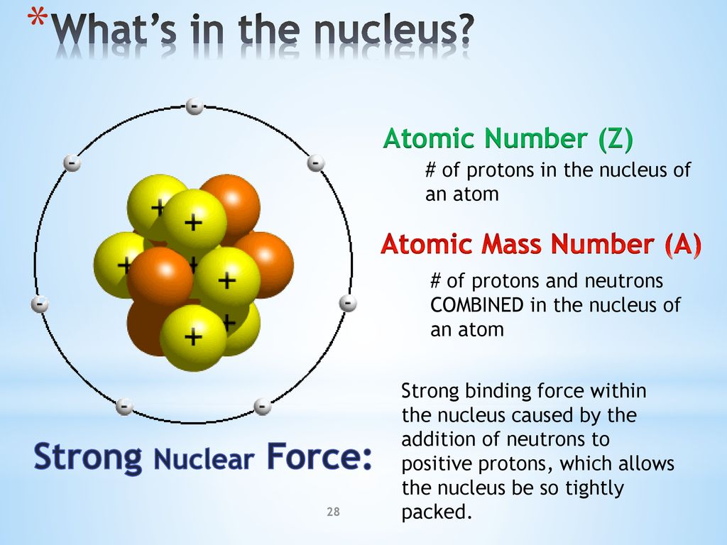 What’s in the nucleus Strong Nuclear Force: Atomic Number (Z)