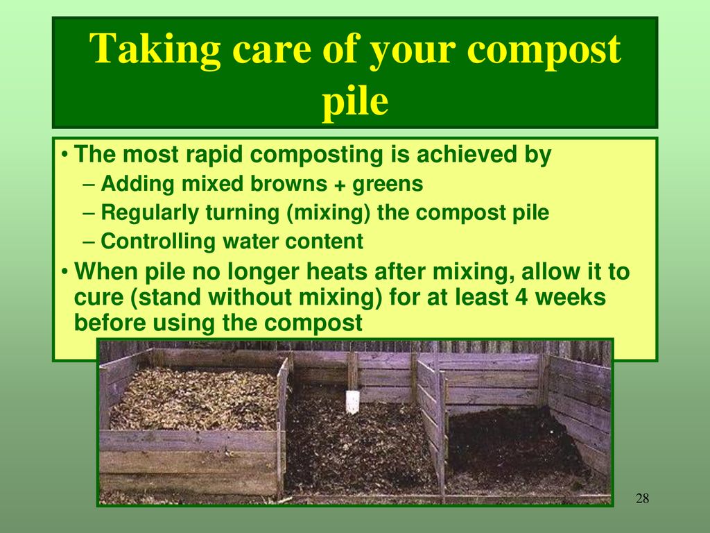 Taking care of your compost pile