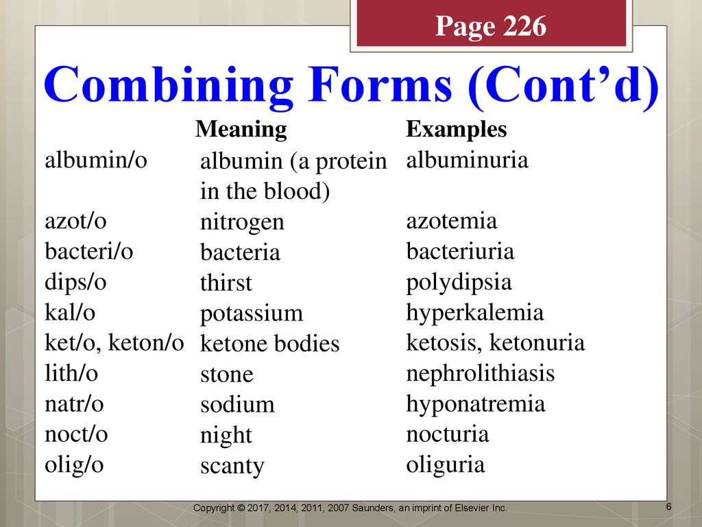 chapter-7-objectives-name-essential-organs-of-the-urinary-system-and