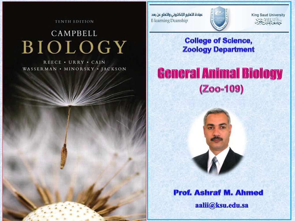 General Animal Biology