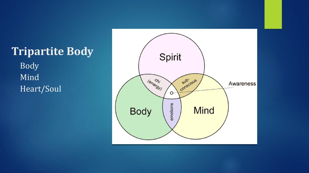 Tripartite Body Body Mind Heart/Soul