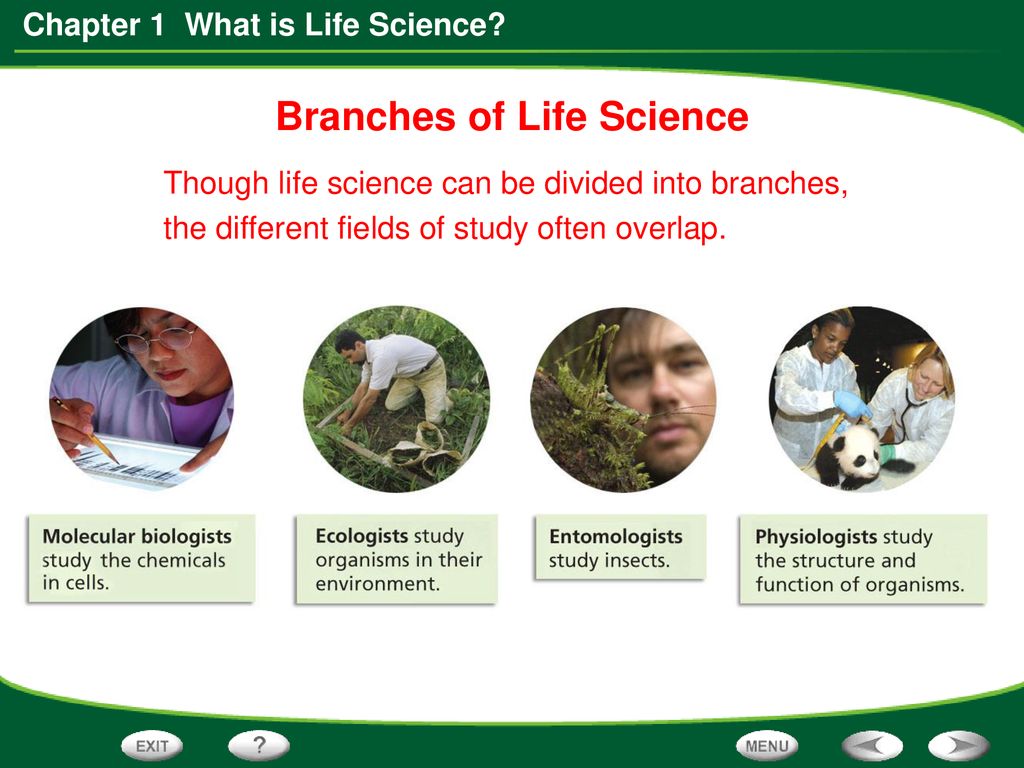 Branches of Life Science