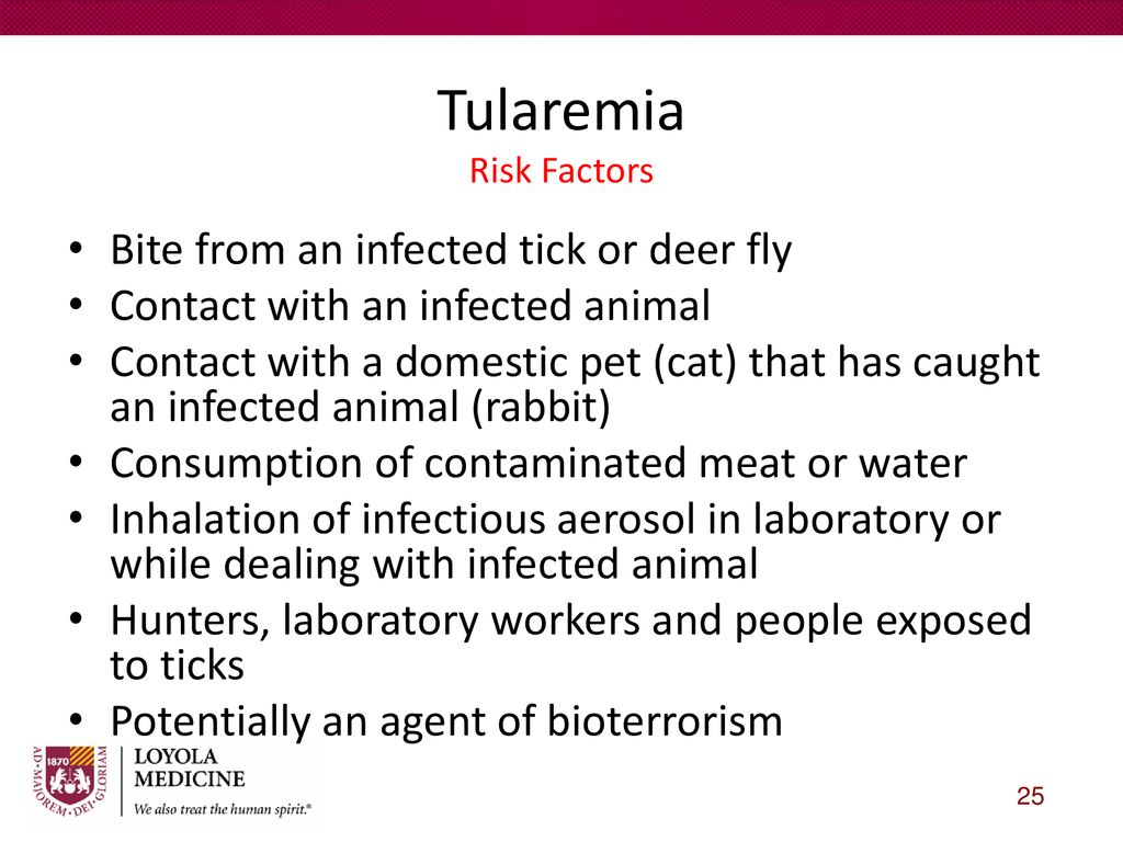 Bacterial Zoonoses SSOM-MHD Amanda T. Harrington, PhD, D(ABMM) - ppt ...