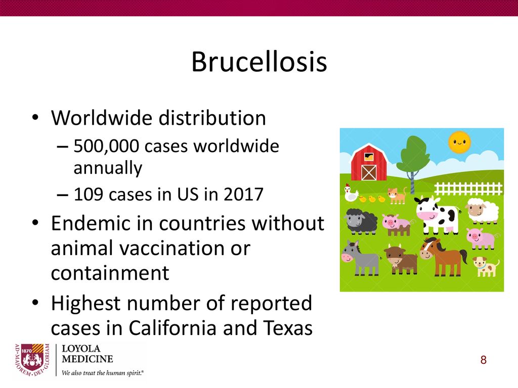 Bacterial Zoonoses SSOM-MHD Amanda T. Harrington, PhD, D(ABMM) - ppt ...