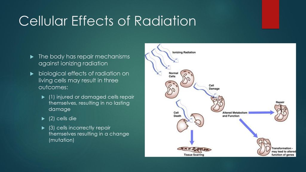 Biological Effects of Radiation Biology Diagrams
