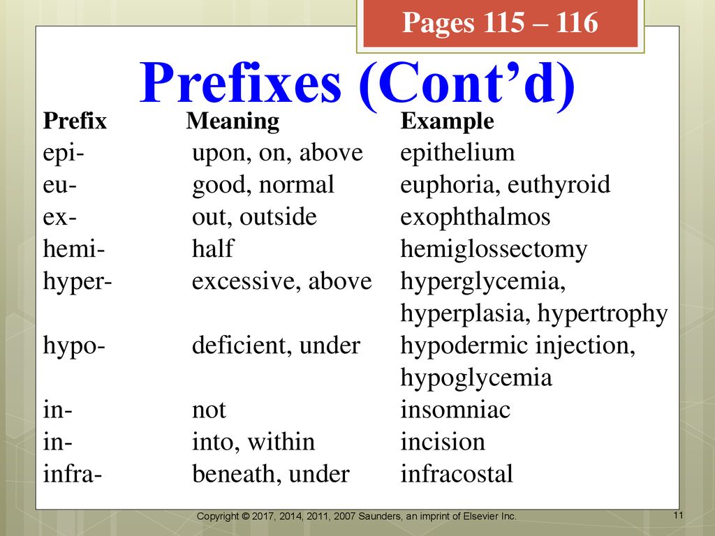 Chapter 4 Objectives Define Basic Prefixes Used In The Medical Language 