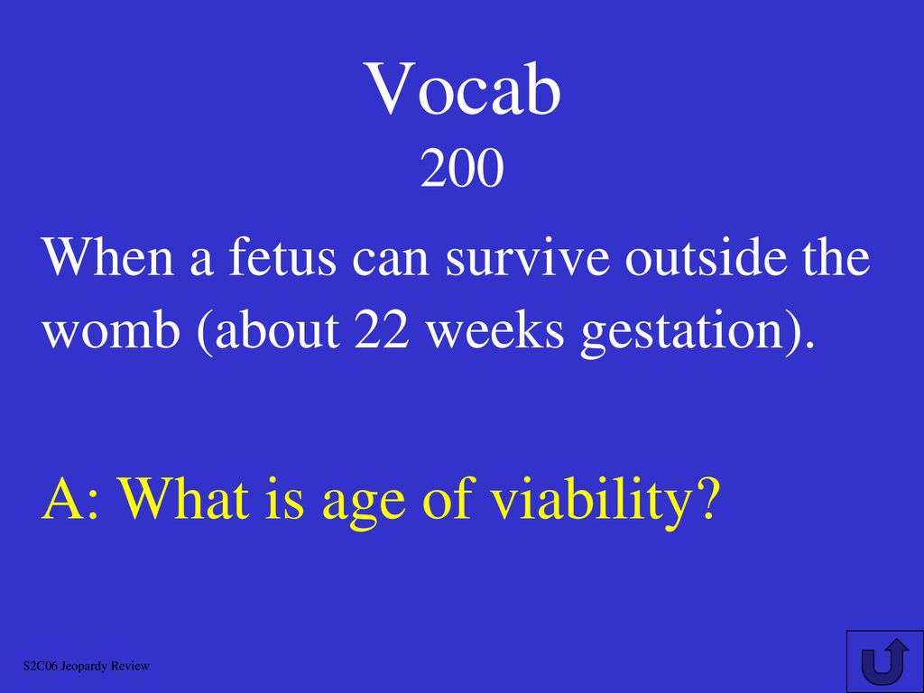 H G D Chapter 4 JEOPARDY S2C06 Jeopardy Review Ppt Download multiplication-word-and-number-problems-baamboozle-baamboozle