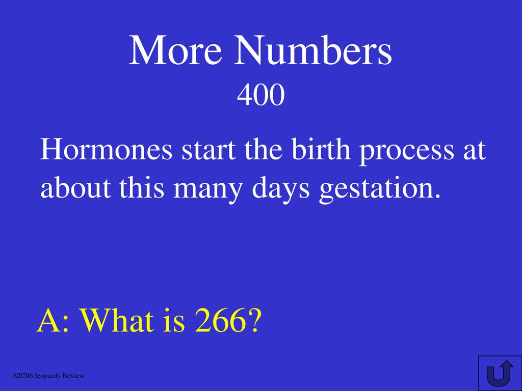 H G D Chapter 4 JEOPARDY S2C06 Jeopardy Review Ppt Download h-g-d-chapter-4-jeopardy-s2c06-jeopardy-review-ppt-download