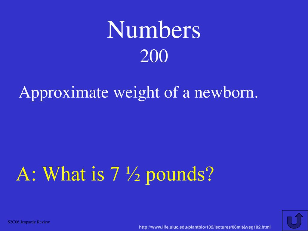 H G D Chapter 4 JEOPARDY S2C06 Jeopardy Review Ppt Download h-g-d-chapter-4-jeopardy-s2c06-jeopardy-review-ppt-download