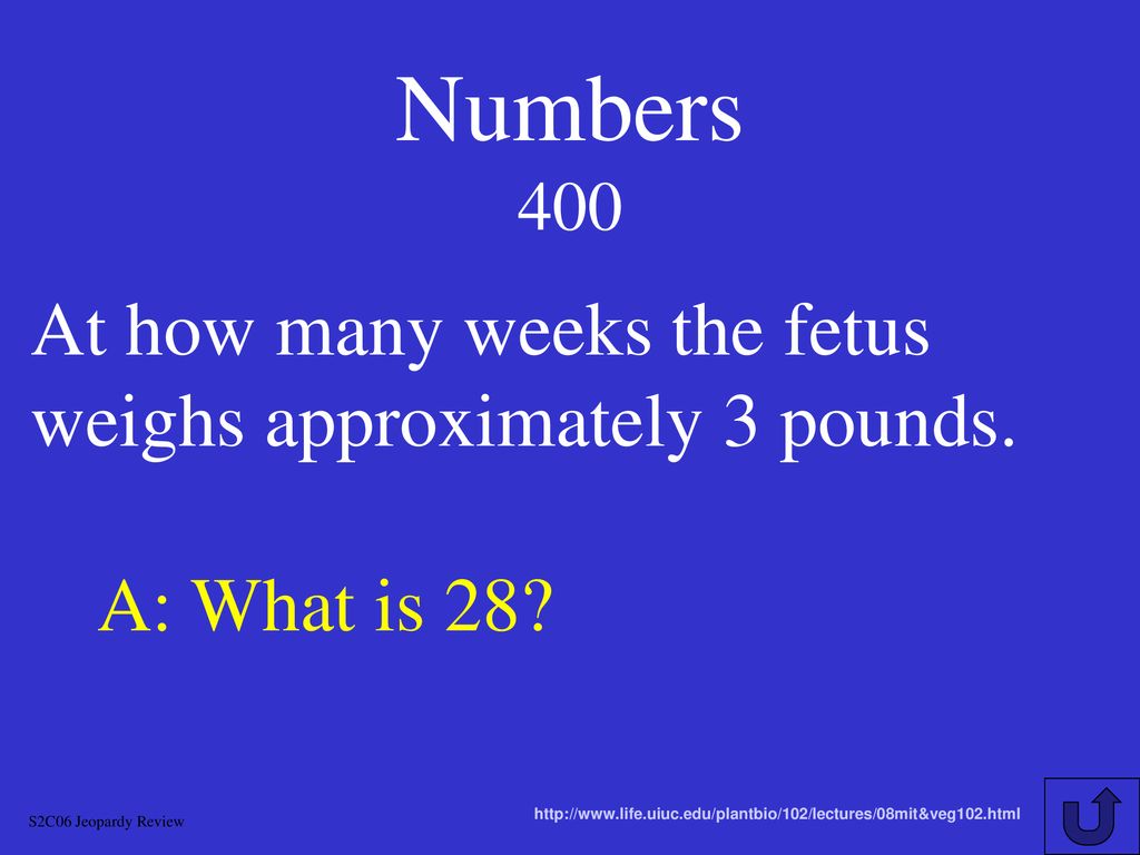 H G D Chapter 4 JEOPARDY S2C06 Jeopardy Review Ppt Download the-outrider-on-twitter-nz-lotto-hasn-t-been-won-for-god-knows-how