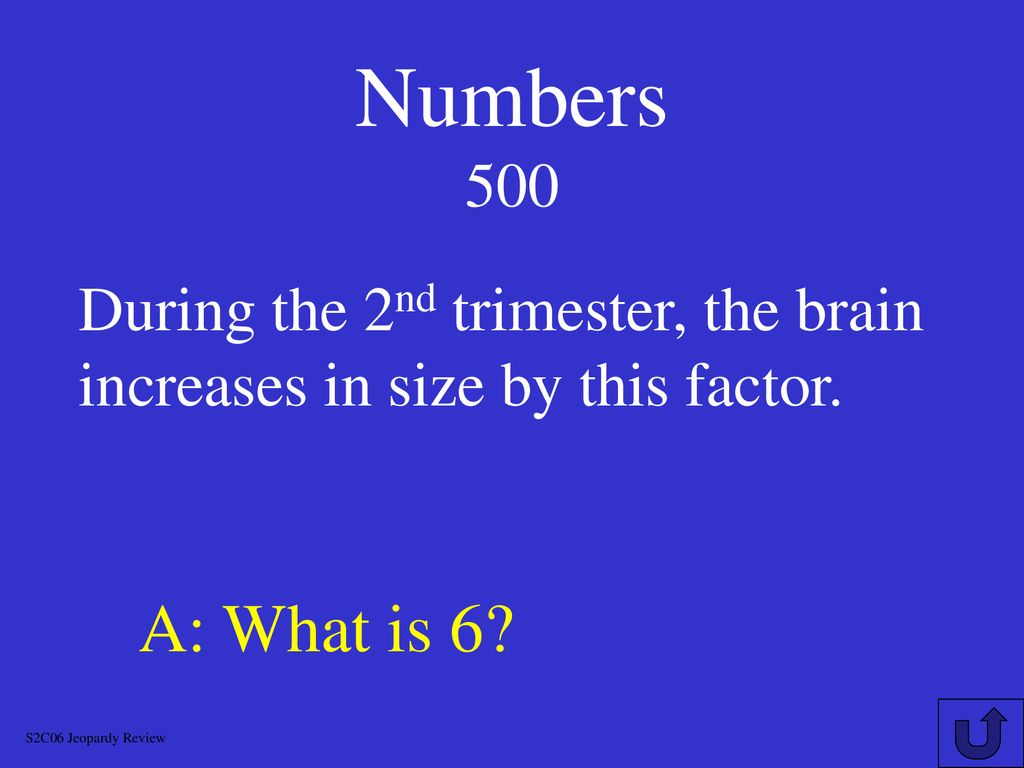 H G D Chapter 4 JEOPARDY S2C06 Jeopardy Review Ppt Download h-g-d-chapter-4-jeopardy-s2c06-jeopardy-review-ppt-download