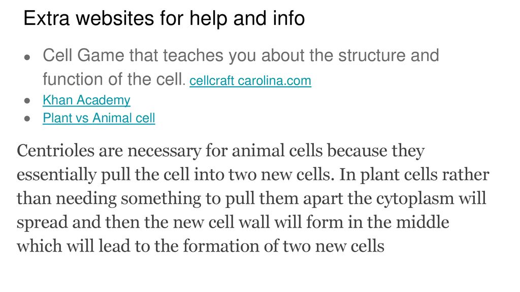 Plant Cells Animal Cells Partner share: - ppt download