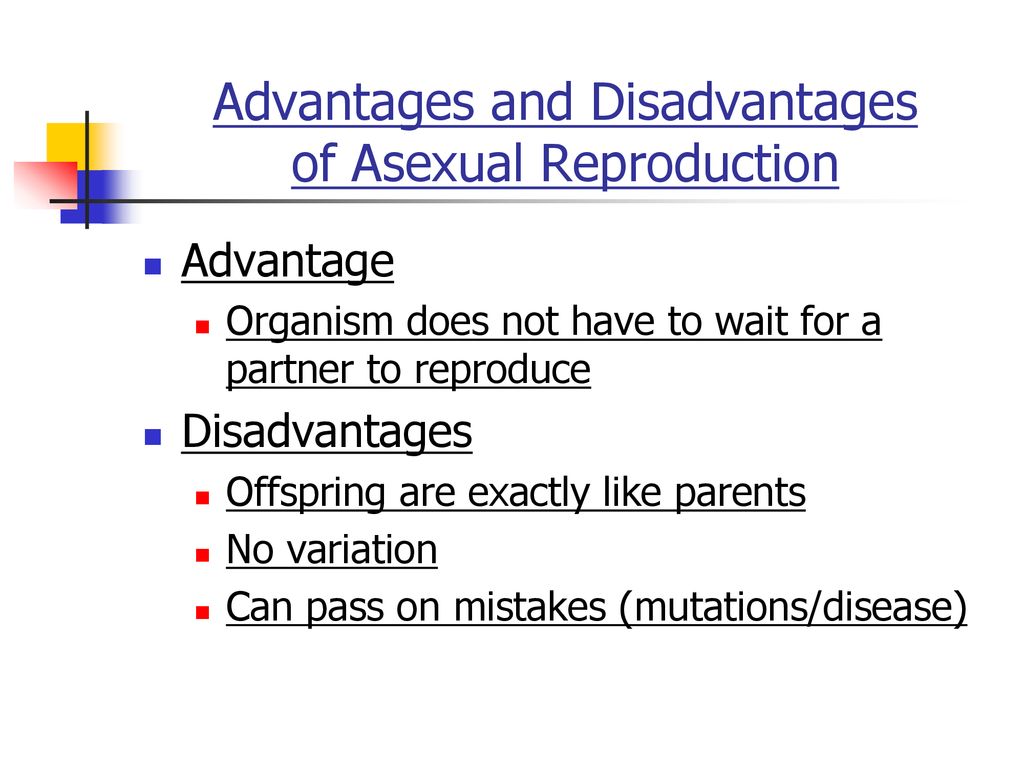 Advantages and Disadvantages of Asexual Reproduction