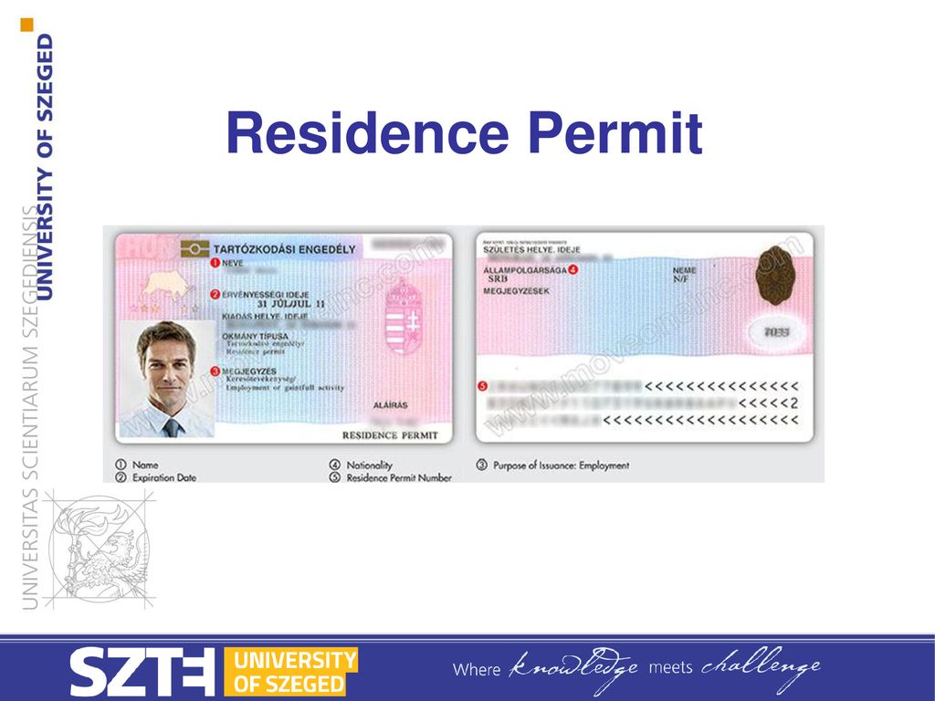 Residence Permit. ppt download