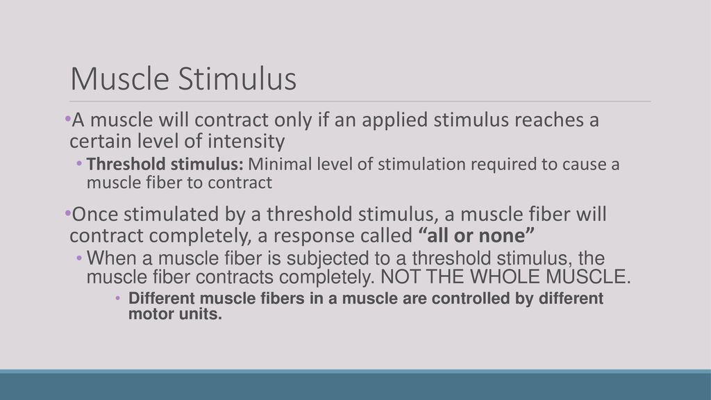 Muscle Stimulus A muscle will contract only if an applied stimulus reaches a certain level of intensity.