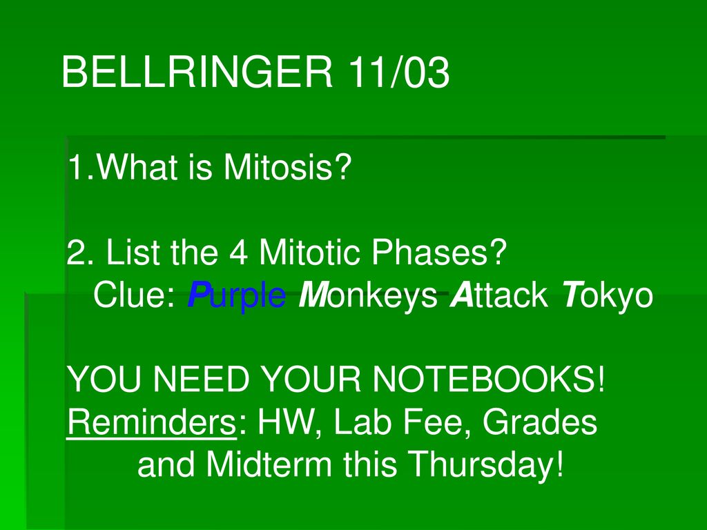 BELLRINGER 11/03 What is Mitosis? 2. List the 4 Mitotic Phases? Biology Diagrams