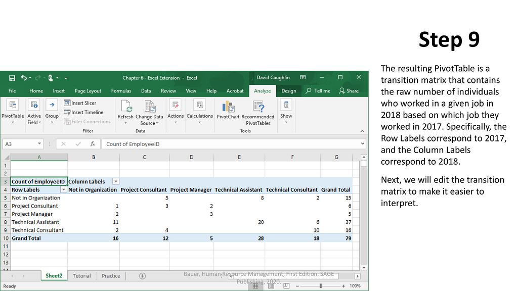 Chapter 6 Excel Extension Now You Try Ppt Download