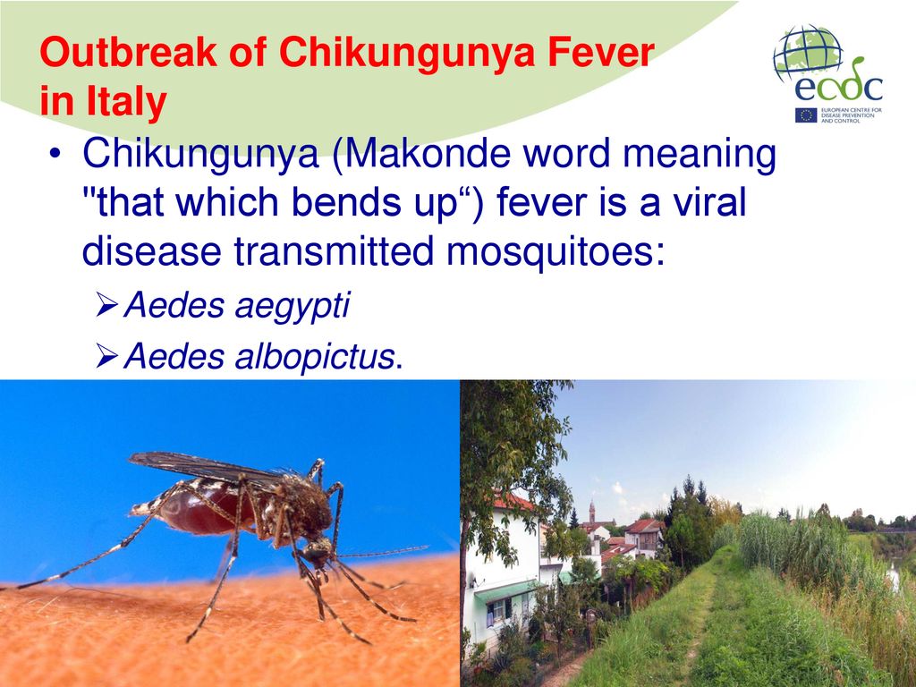 climate-change-and-communicable-diseases-a-european-perspective-ppt
