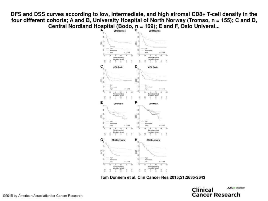 DFS and DSS curves according to low, intermediate, and high stromal CD8+ T-cell density in the four different cohorts; A and B, University Hospital of North Norway (Tromso, n = 155); C and D, Central Nordland Hospital (Bodo, n = 169); E and F, Oslo Universi...
