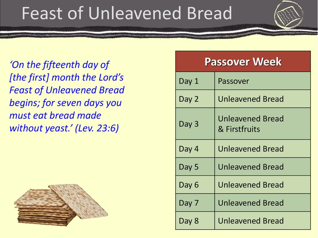 First Day Of Unleavened Bread 2025 Bride Regine
