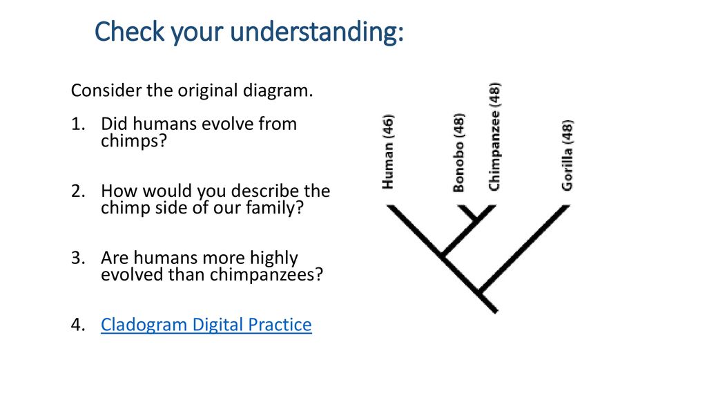 1 2 Biology Warm Up Day 6 Turn phones in the baskets - ppt download