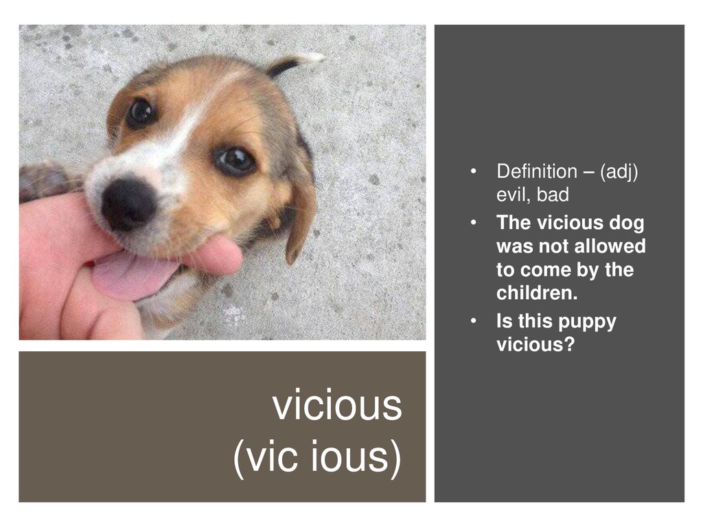 Unit 1 Vocabulary. - ppt download