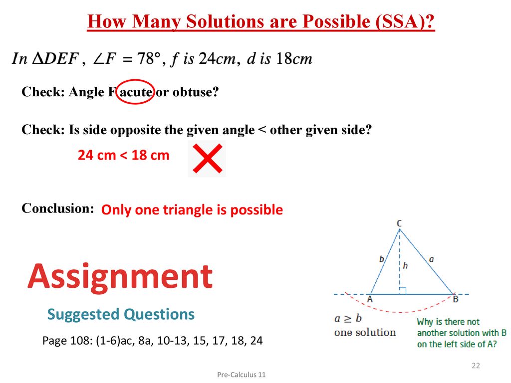 Assignment How Many Solutions are Possible (SSA) Suggested Questions
