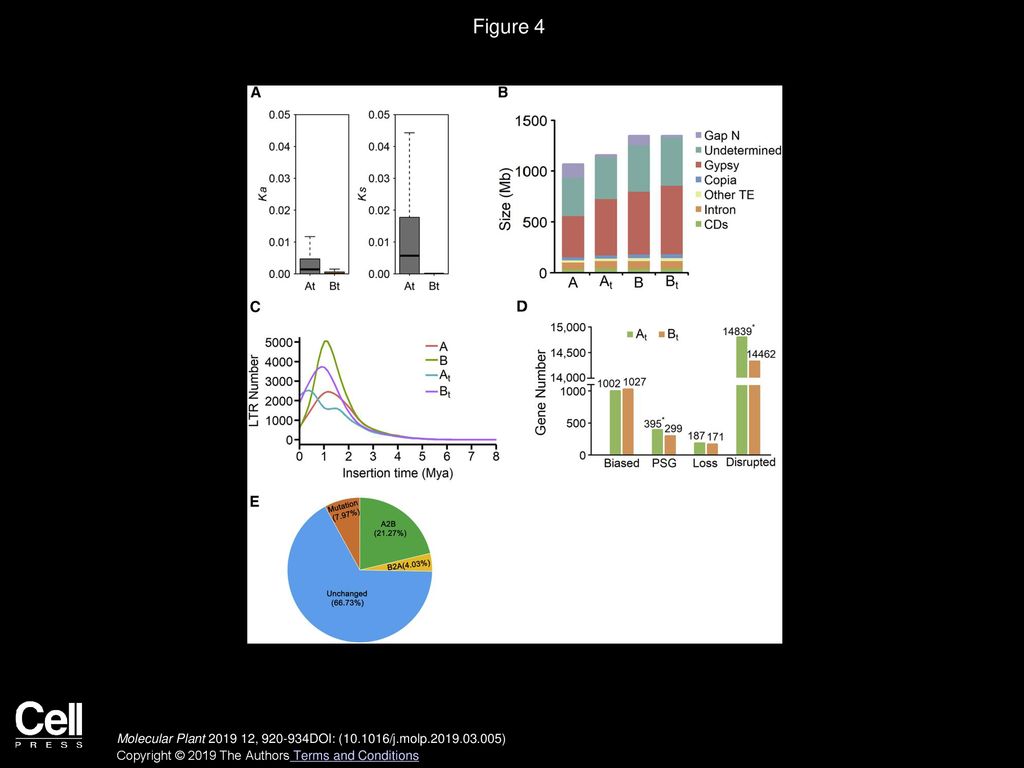 Overview Of Humanizing Retrotransposon Distributions A Genomes Are