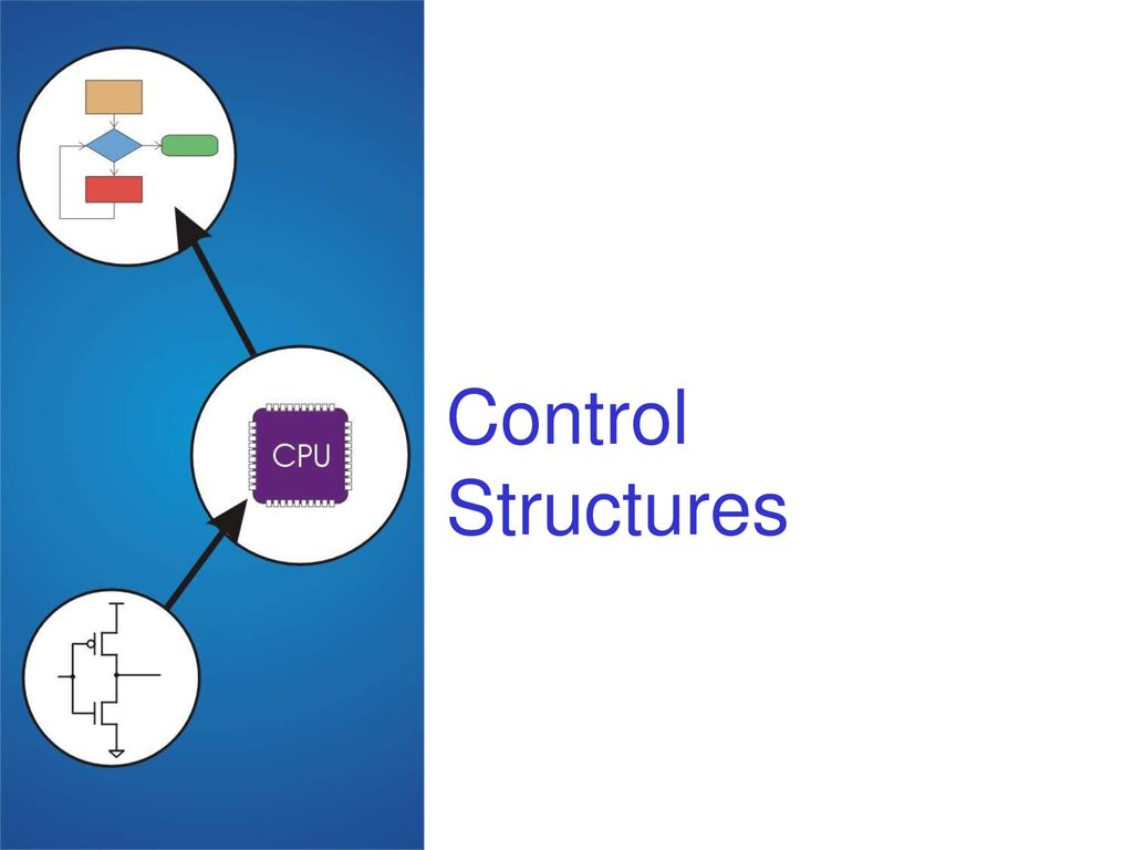 Midterm 1 Review CS270 - Spring Semester ppt download