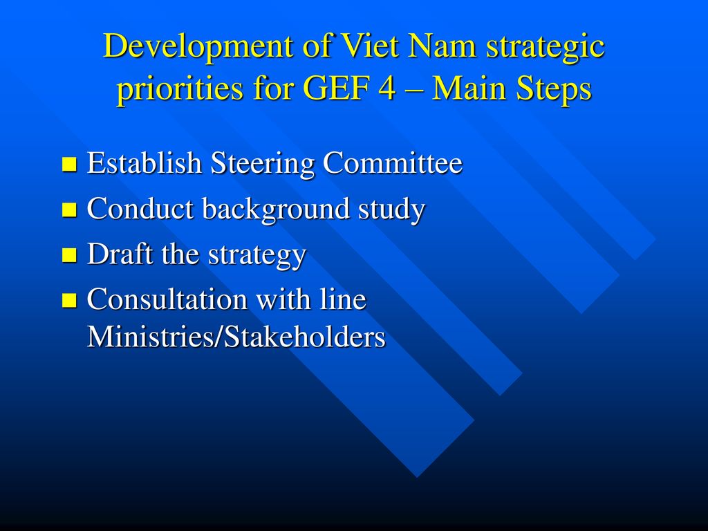 National Consultation Workshop In Viet Nam Marks A Key Milestone In The