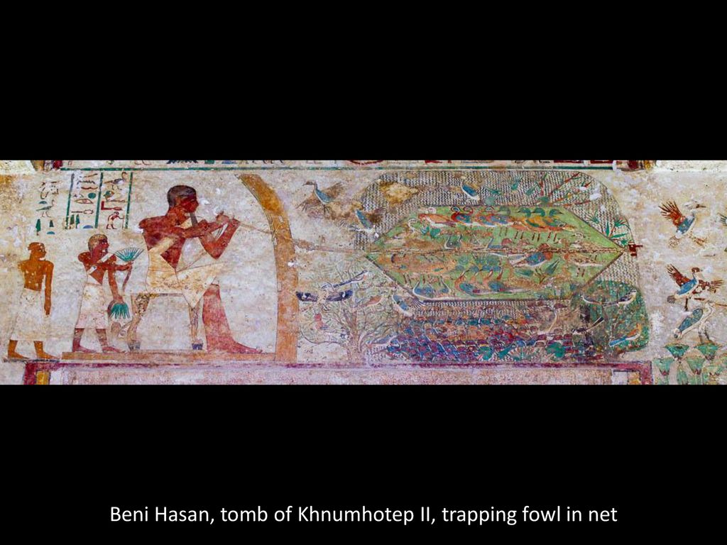 Beni Hasan, tomb of Khnumhotep II, trapping fowl in net