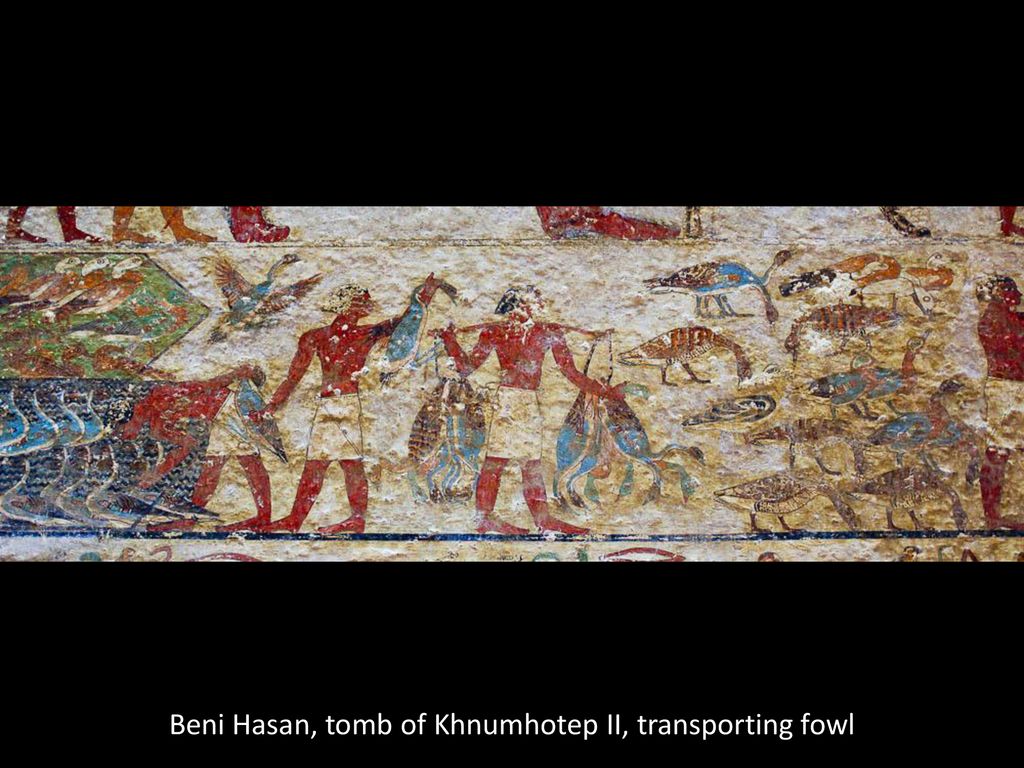 Beni Hasan, tomb of Khnumhotep II, transporting fowl