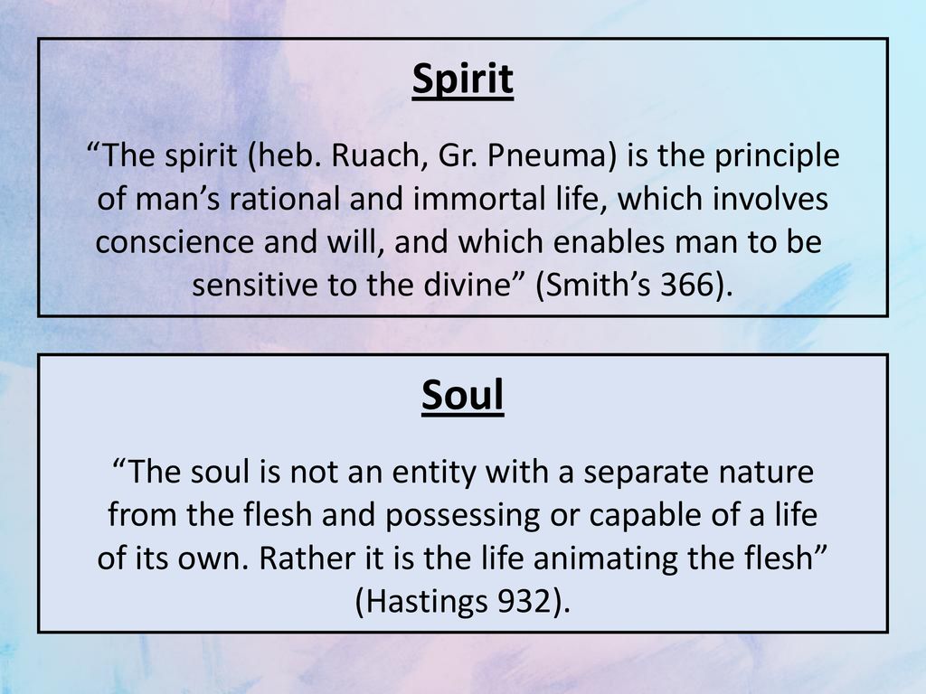 Spirit Soul Soul The spirit (heb. Ruach, Gr. Pneuma) is the principle