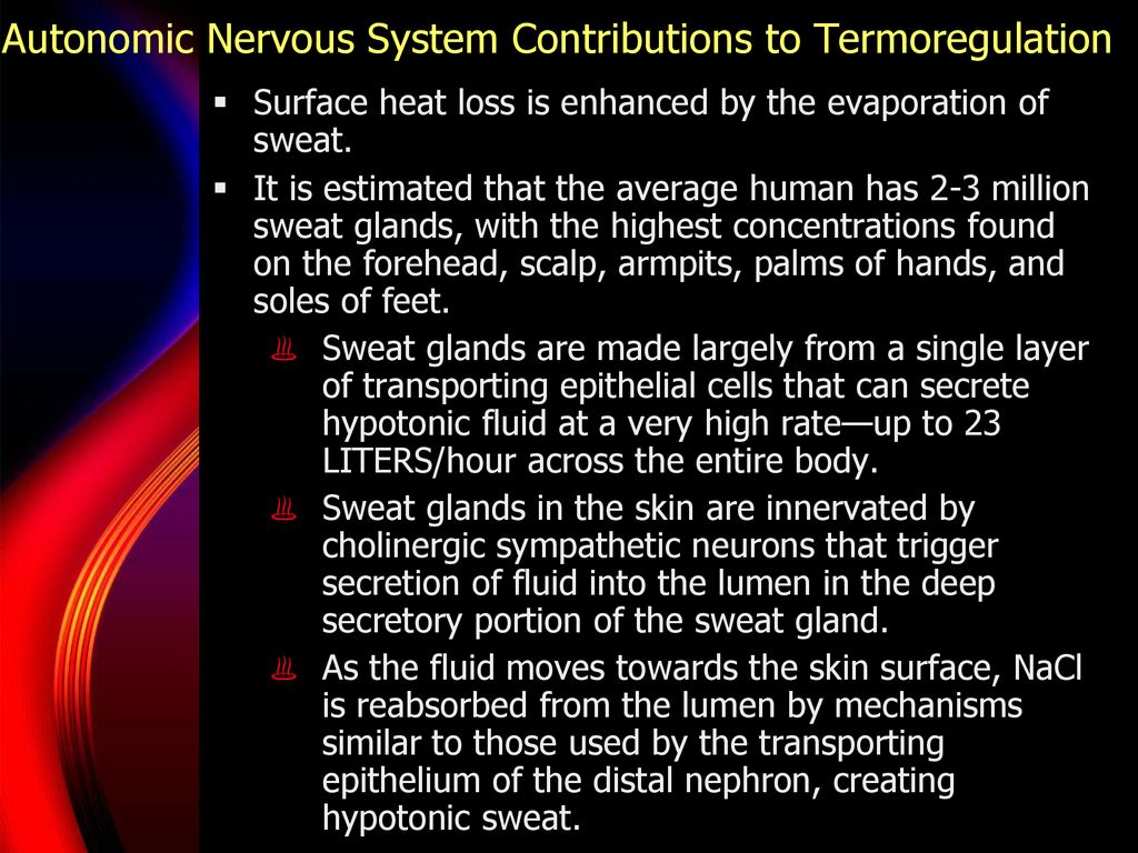 Developmental Physiology Biology Diagrams