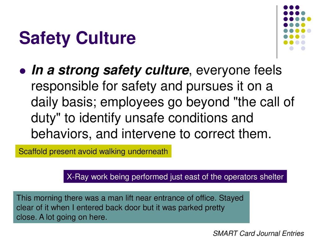 Safety Culture and Security - ppt download