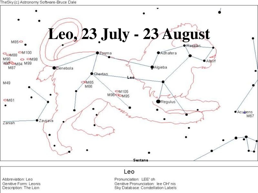 Leo, 23 July - 23 August