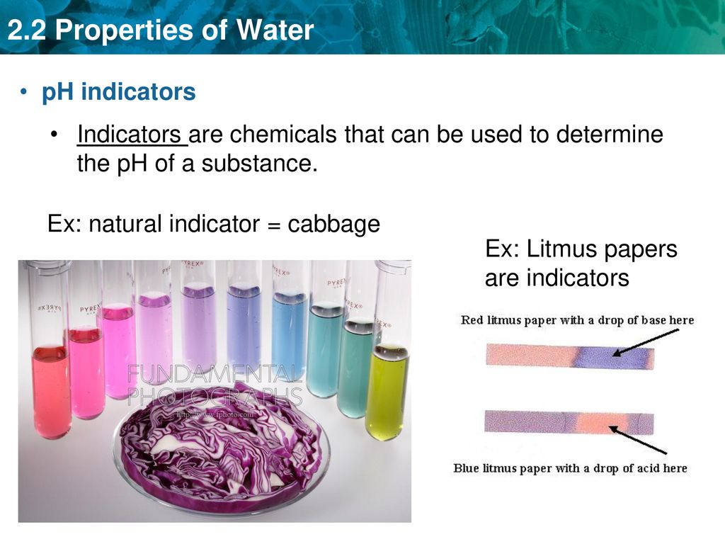 pH indicators Indicators are chemicals that can be used to determine the pH of a substance. Ex: natural indicator = cabbage.