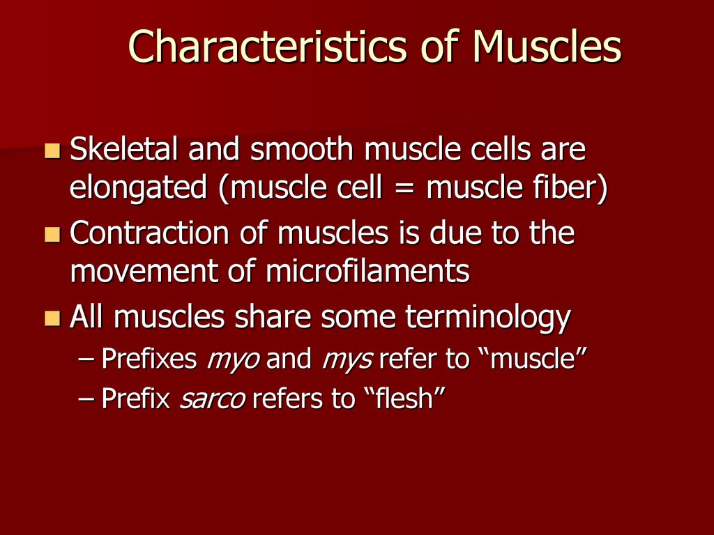 The Muscular System. - ppt download