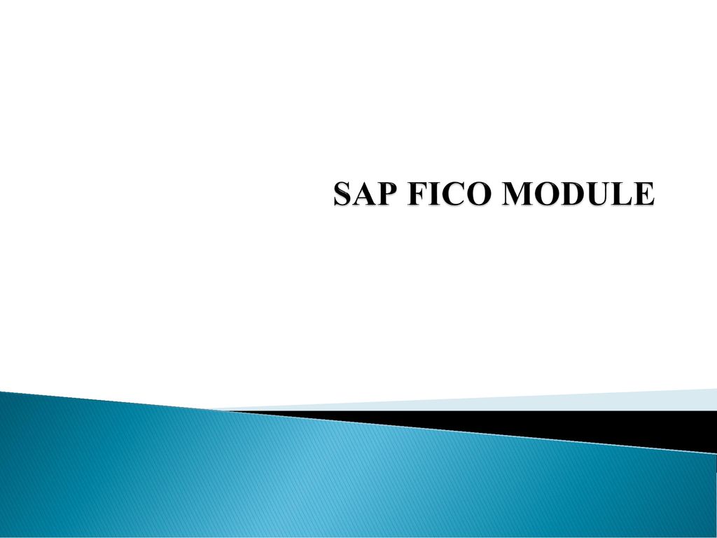 SAP FICO MODULE