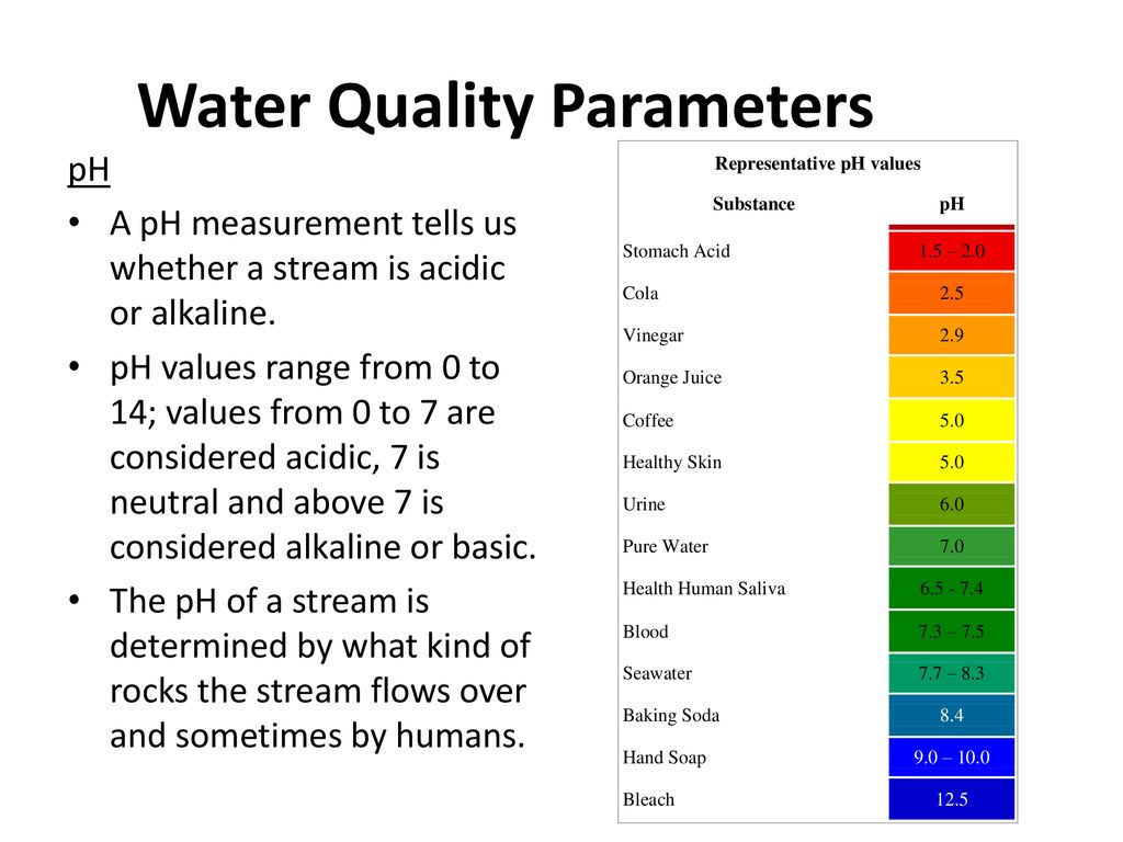 Determining The Health of a Stream/River - ppt download